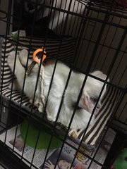 funny sleeping pose 2