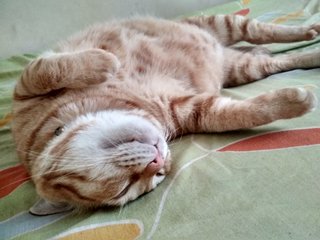 Sleeping pose 2