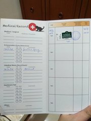 Thor's vet report for vaccination and de-worming