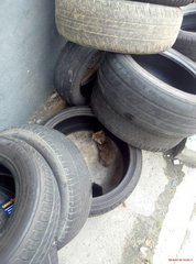 This is where I had been hiding and meowing for a few days, all by myself!
