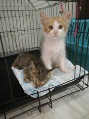 Me and my bestie and sister from another mother, Chico