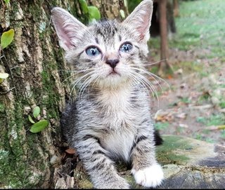 Miyuki having a play time in the garden...