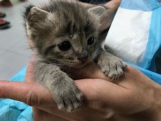 First day at the vet