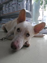 When's my turn? I've been waiting at the vet for ages just to get 1 jab 