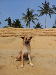 My first beach holiday. Heck it's my first holiday!