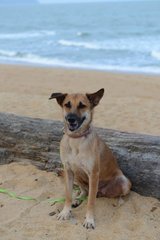 Beach breeze bliss