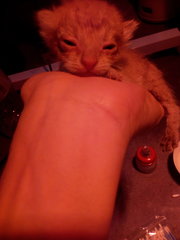 When he was only just rescued AND i had no milk nor syringe