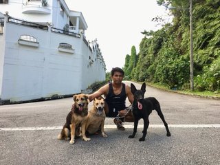 Saturday walks up Gasing Hill with the gang