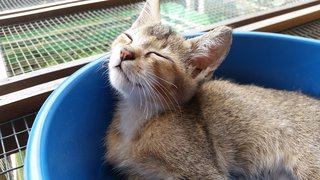 Sleepy time in a tub