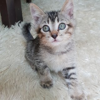 soo cute
