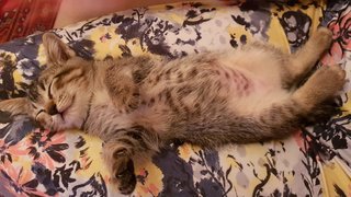 nap time