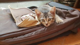 can i go to class with you?
