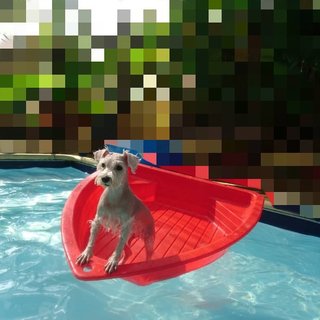 I love to swim and this my little red boat～🚣‍♂️