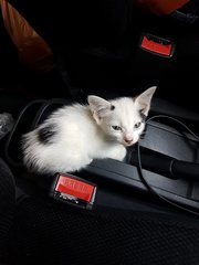 Her first car ride