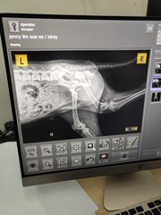 Xray taken reveal pelvic and femoral head fracture