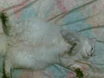 Sleeping makes me less stress...