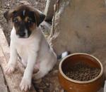Manda (Female) - Aint I adorable?