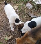 Check out the cute black-n-white tail