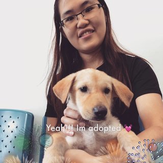 adopted, and hope Angel boy & Angel girl may get a home too