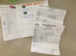 Max’s Medical Records 