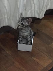 If I can fit in it, I sit in it!