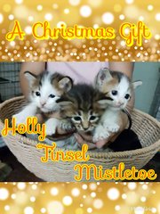 X'mas Trio