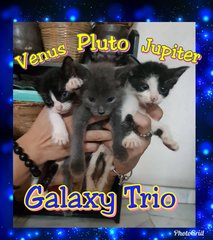 Galaxy Trio