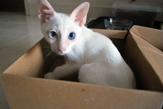 Eric loves boxes.