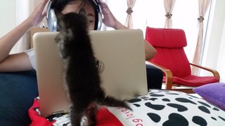 Laptop expert 