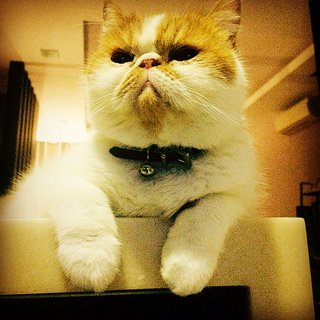a face that puts away all your problems
