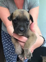 His first photo - about 1 month old.