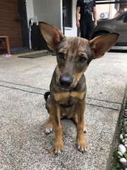 Sitting still for her photoshoot