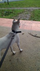 At the park