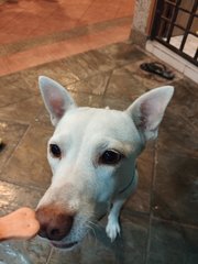 Polka loves food