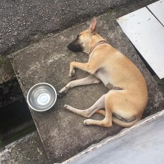 I need a place to sleep