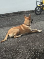I like to fold my arms and watch people pass by