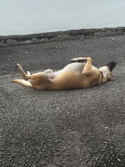 I love to sleep like this