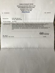 Mila's vet bill