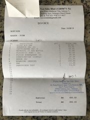 Mason's vet bill