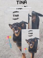 Tina