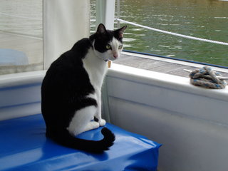 Max on board our boat.