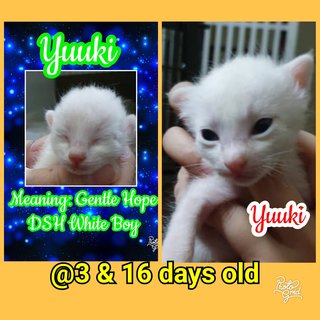 Yuuki means Gentle Hope - Booked 