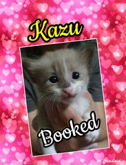 Kazu (Peace) is booked