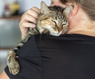 Tortellini loves a good cuddle.