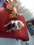 On the red sofa with Mr Tigger for a photo shoot