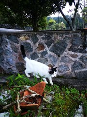 Hanging out in the garden