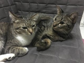 Mochi & Kenji