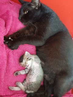 Queenie is a loving mama to her baby, Coco