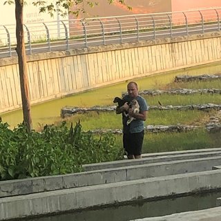 Removing the puppies from the lake. Black one had fallen and was struggling to swim as he couldn't g